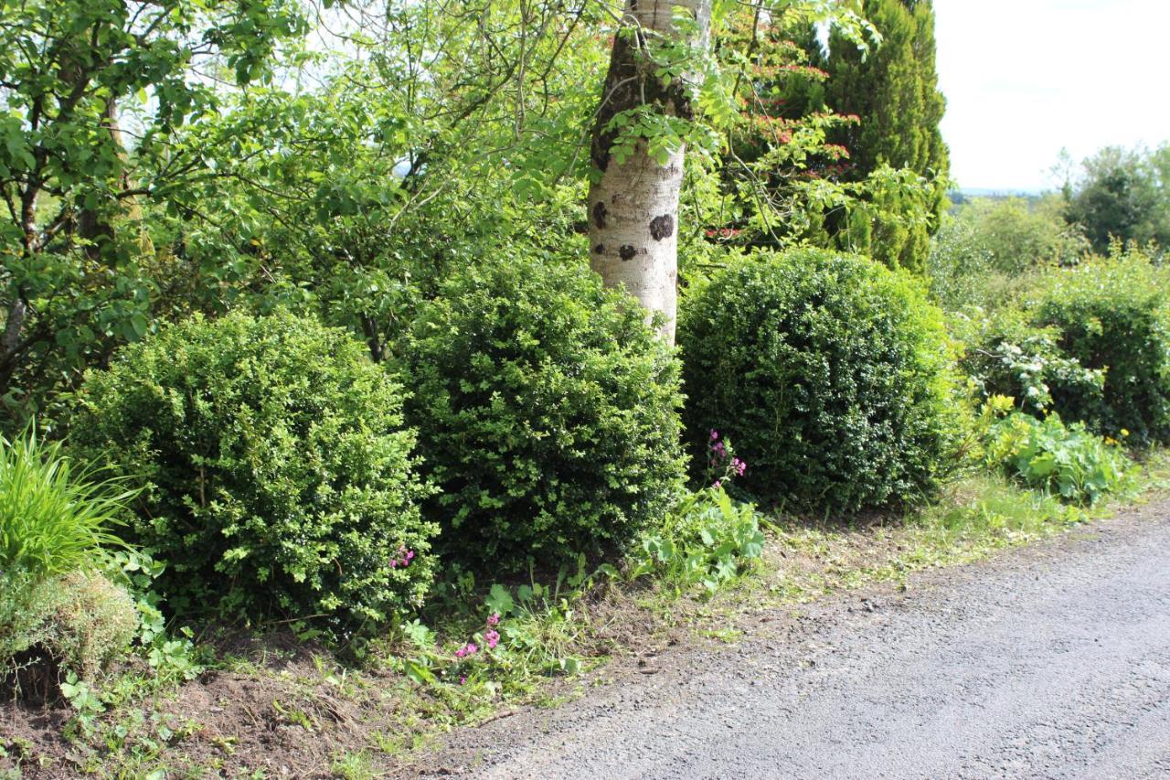 Ketty'S Cottage Rosslea Экстерьер фото